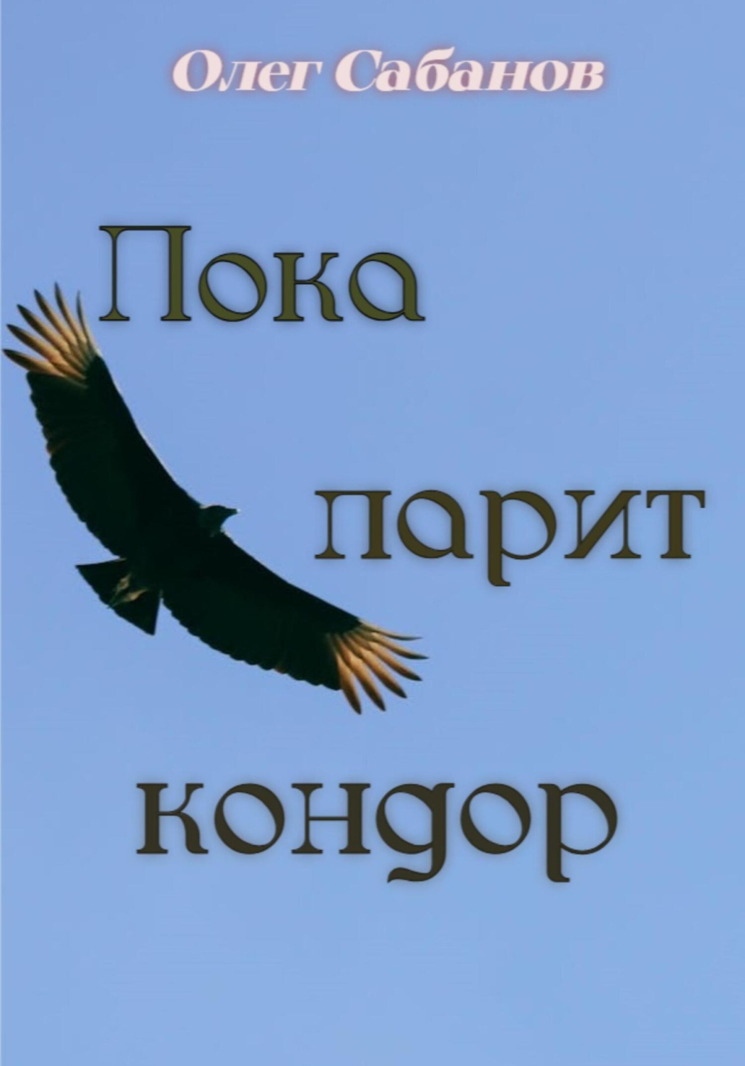 Обложка книги «Пока парит кондор»