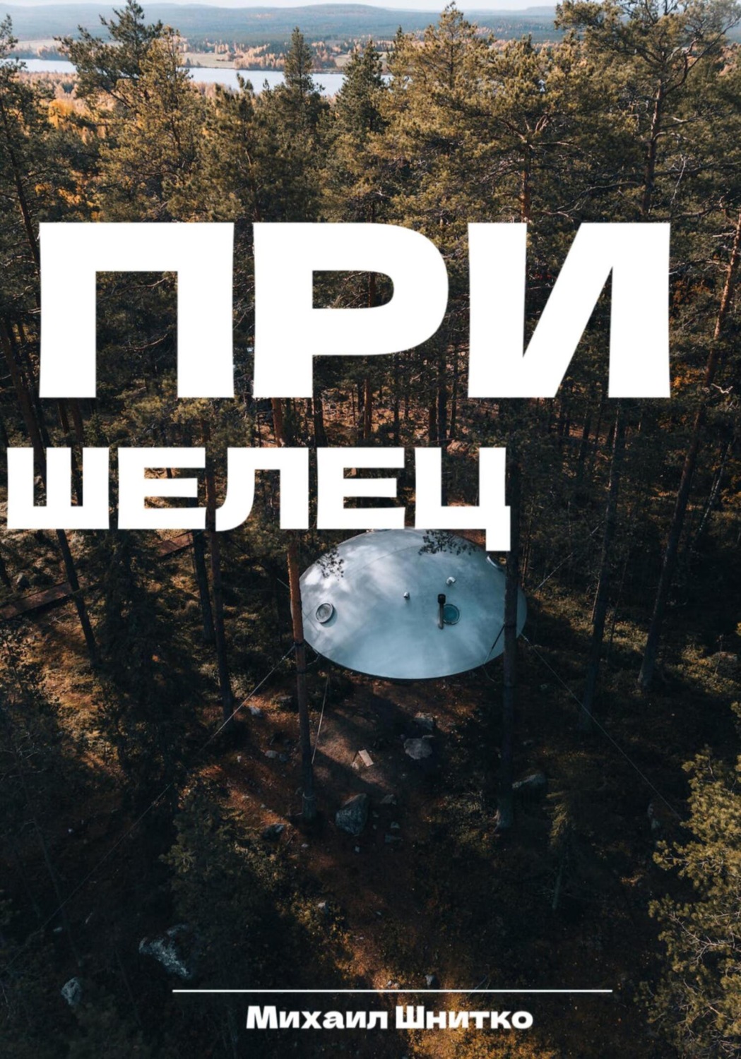 Обложка книги «Пришелец»