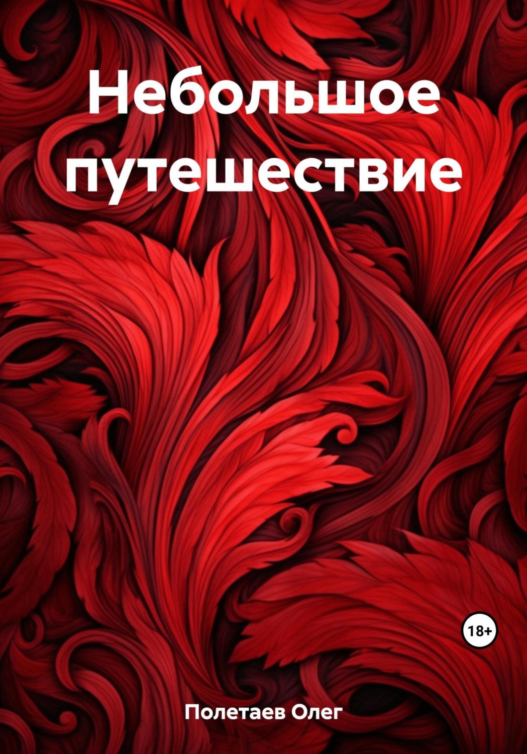 Обложка книги «Небольшое путешествие»