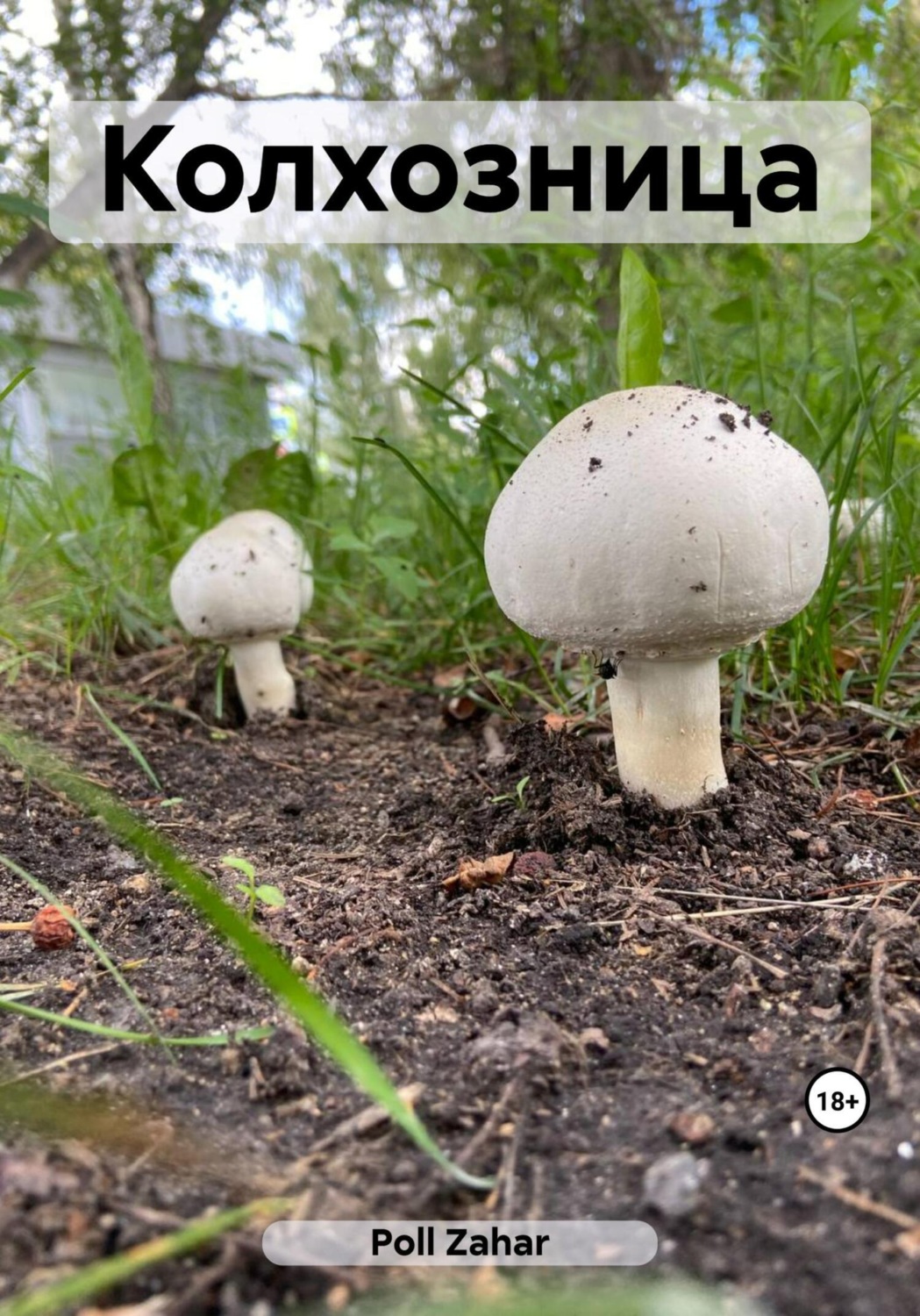 Обложка книги «Колхозница»
