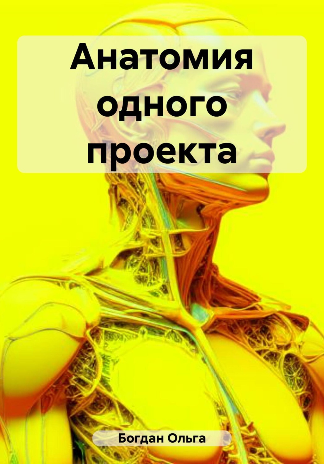 Обложка книги «Анатомия одного проекта»