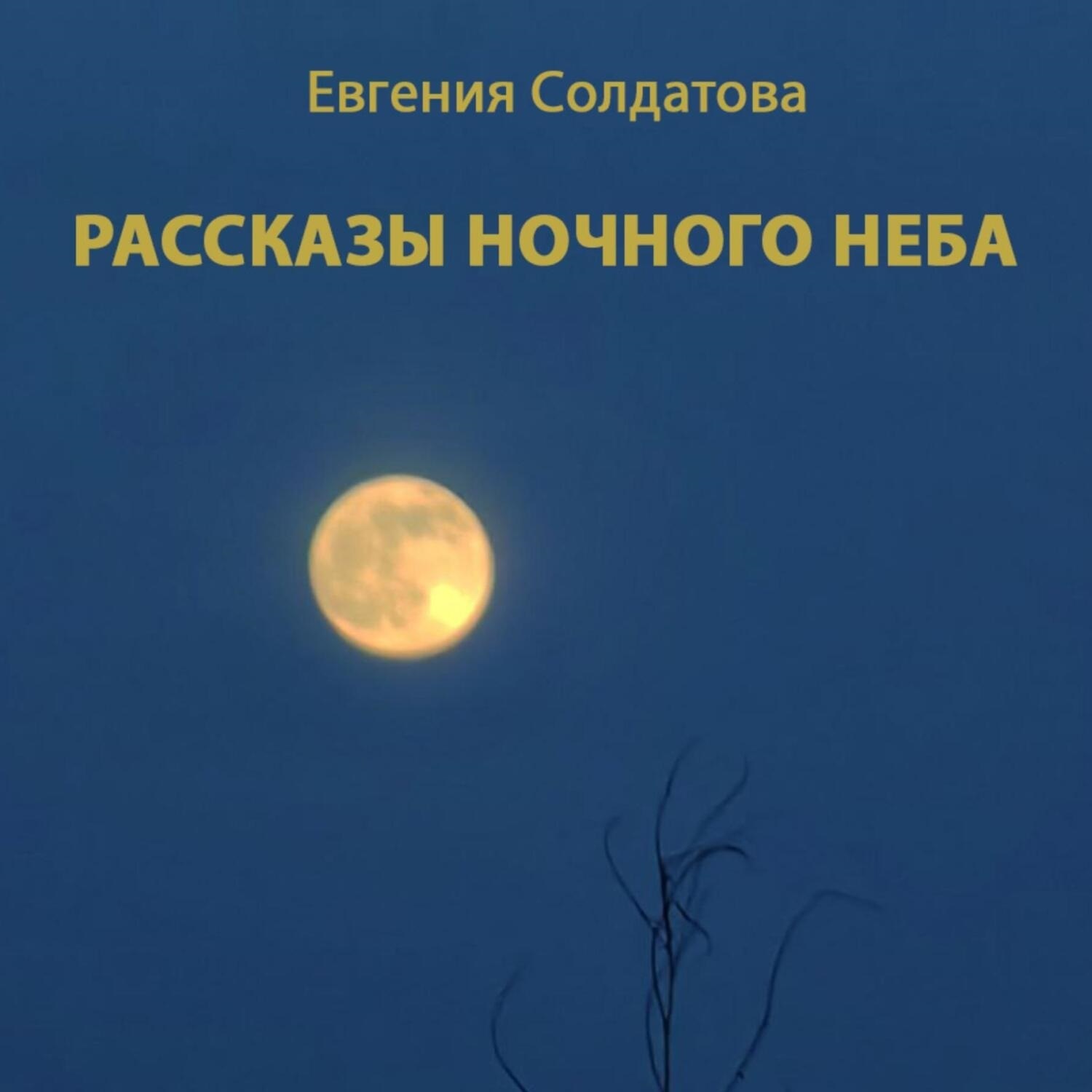 Обложка книги «Рассказы ночного неба»