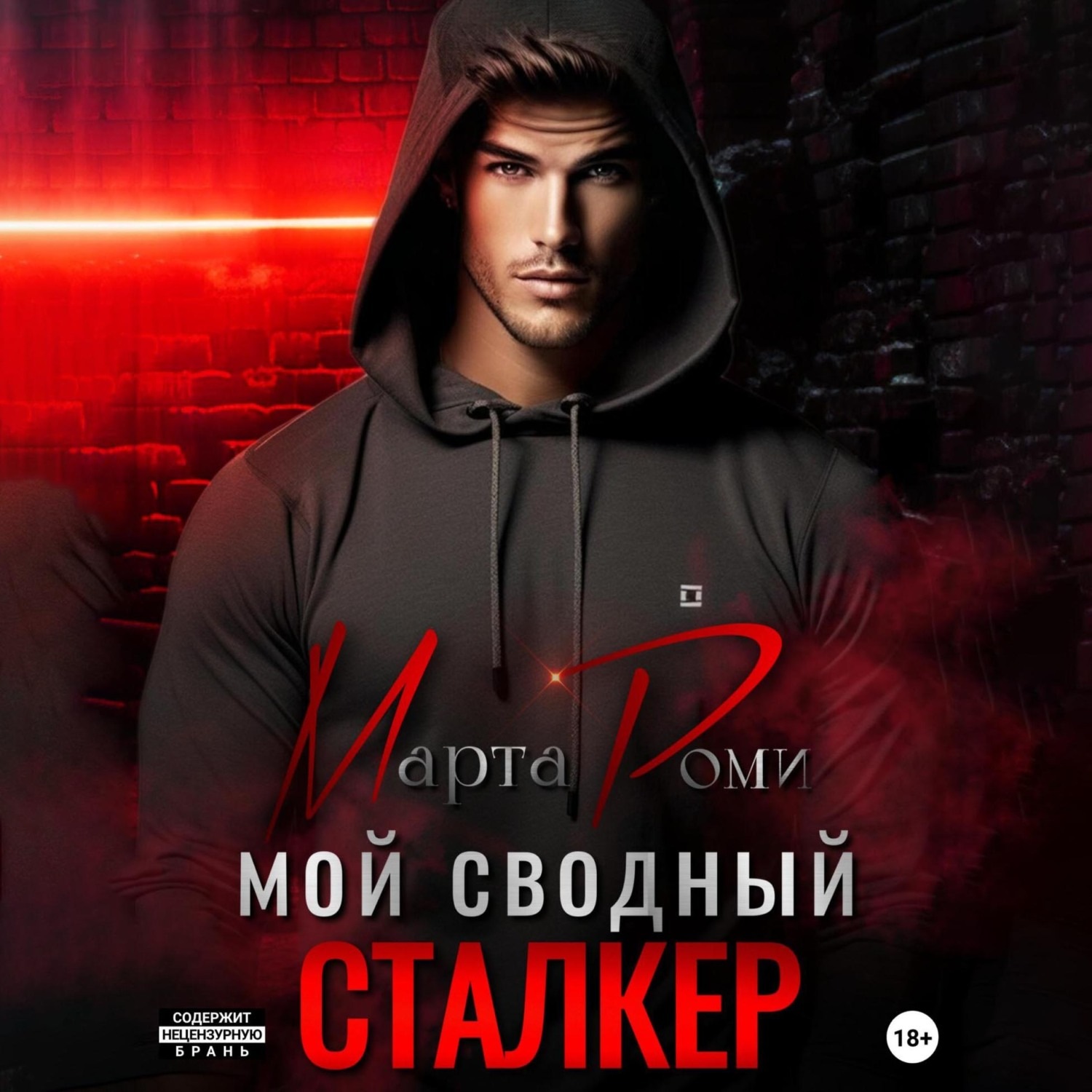 Обложка книги «Мой сводный сталкер»