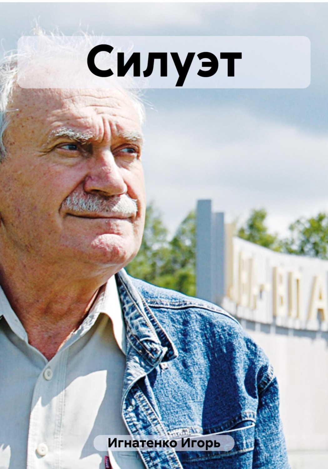 Обложка книги «Силуэт»