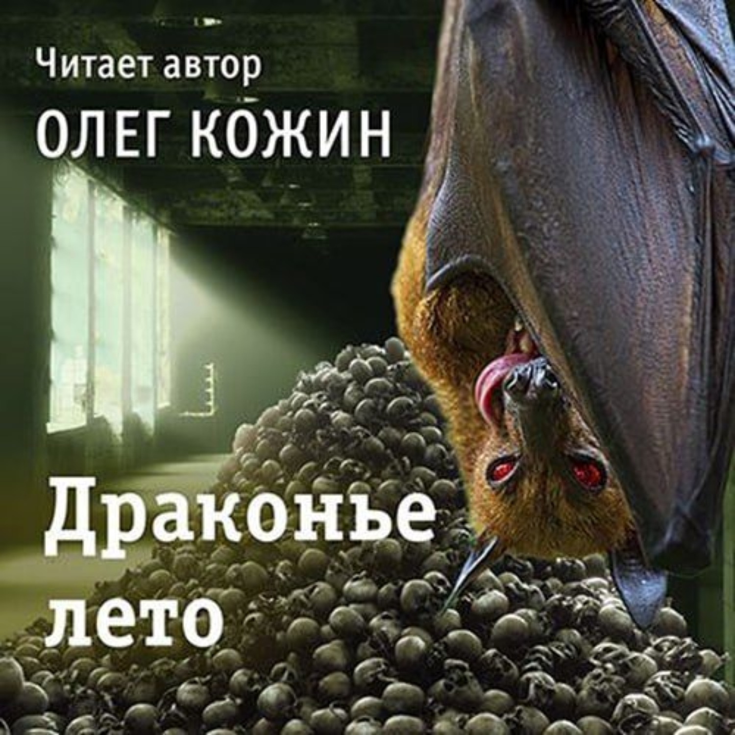 Обложка книги «Драконье лето»