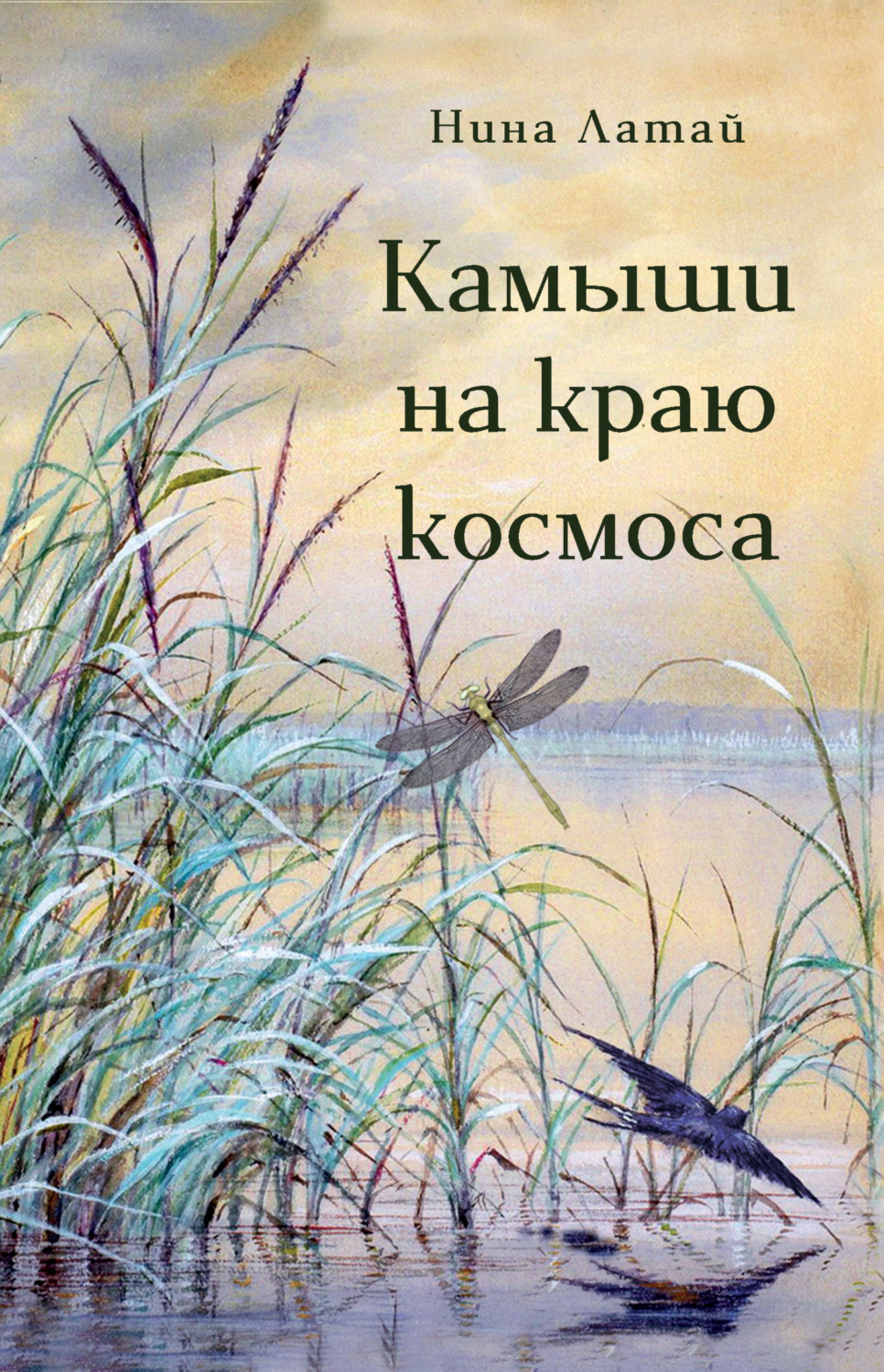 Обложка книги «Камыши на краю космоса»