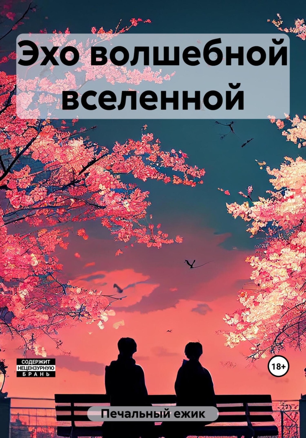 Обложка книги «Эхо волшебной вселенной»