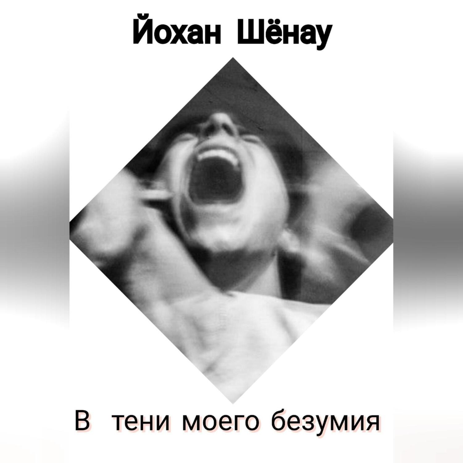 Обложка книги «В тени моего безумия»