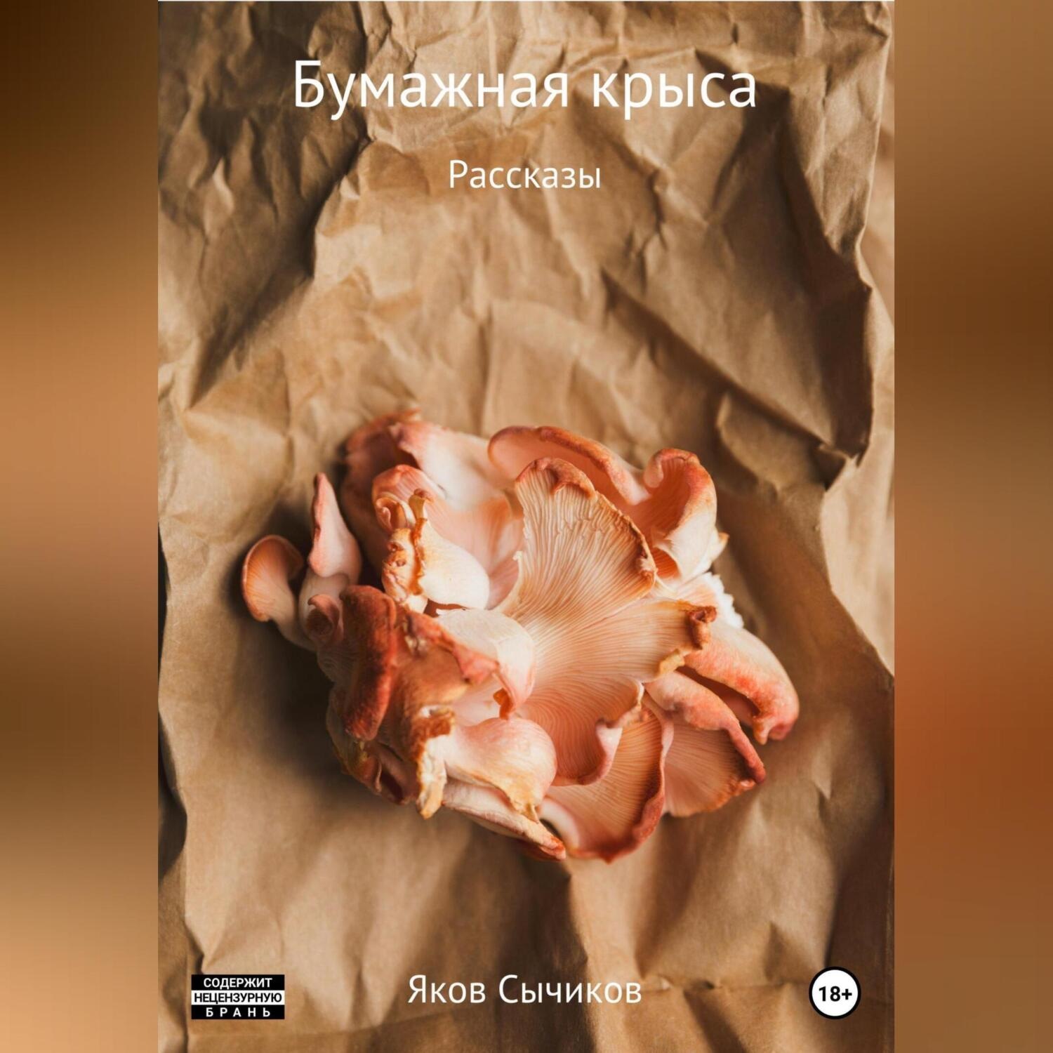 Обложка книги «Бумажная крыса»
