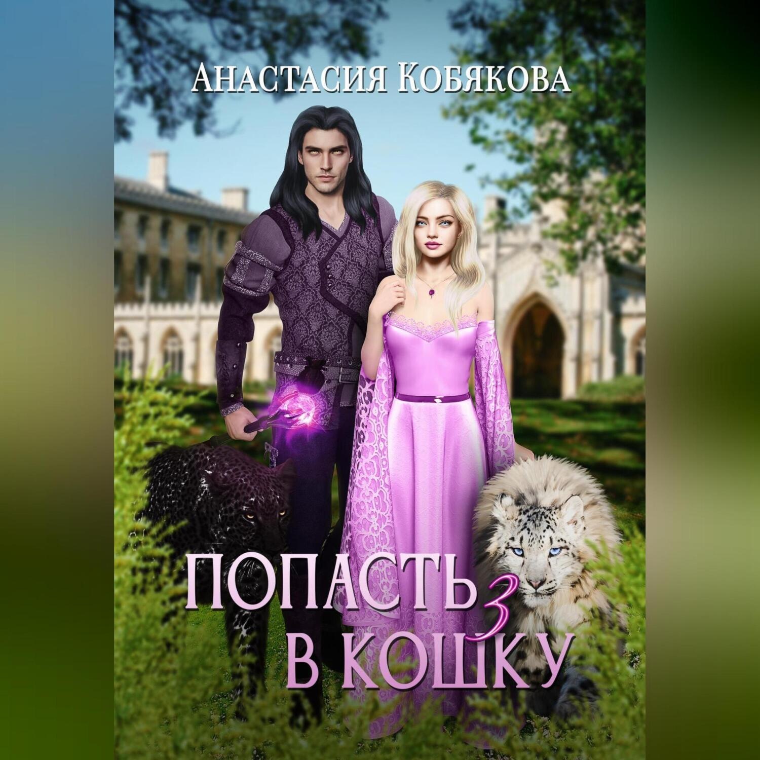 Обложка книги «Попасть в кошку 3»