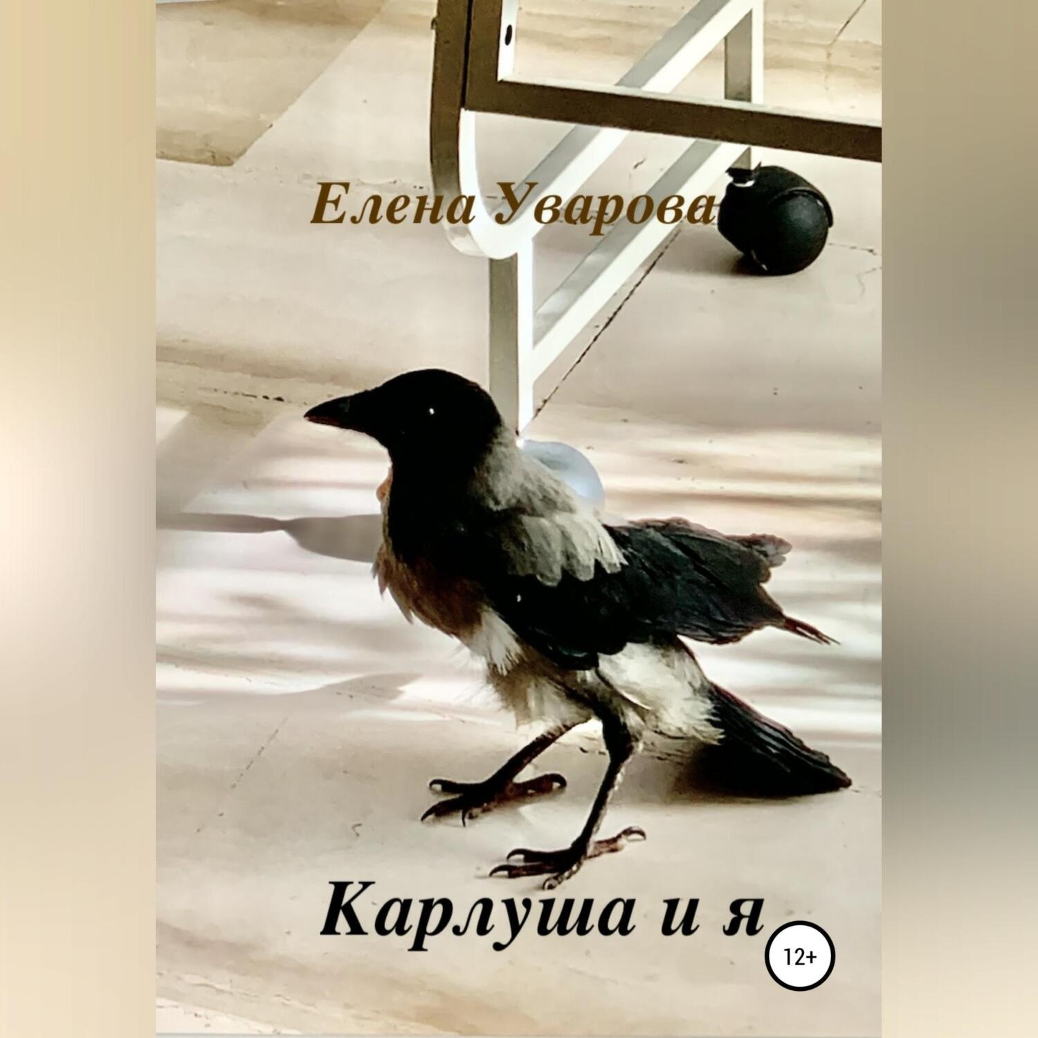 Обложка книги «Карлуша и я»