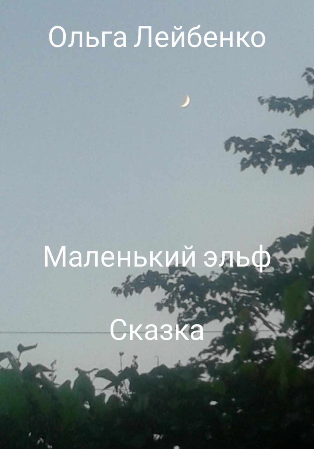Обложка книги «Маленький эльф»