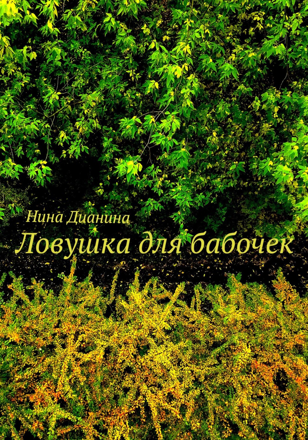 Обложка книги «Ловушка для бабочек»