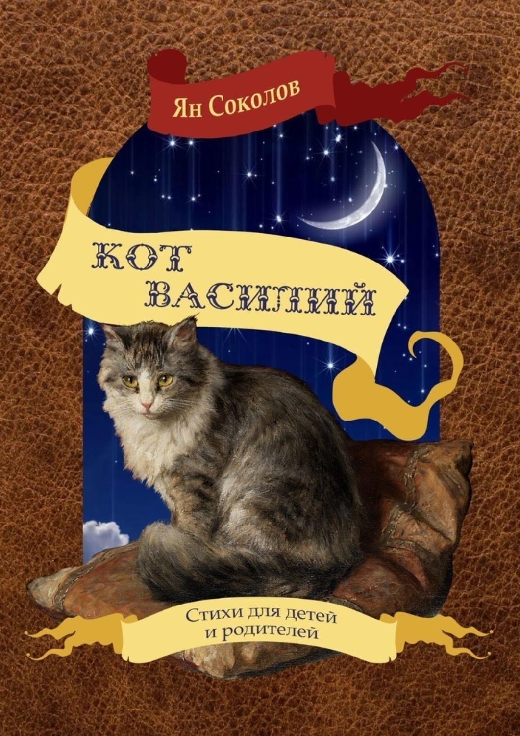 Обложка книги «Кот Василий»