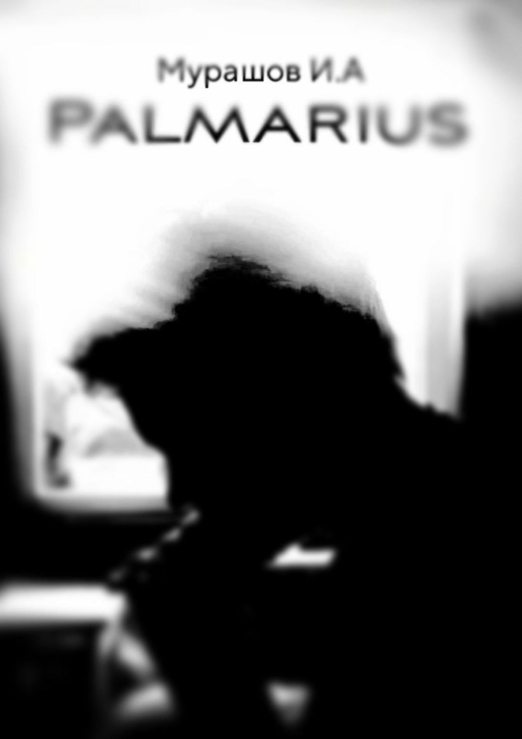 Обложка книги «Palmarius»