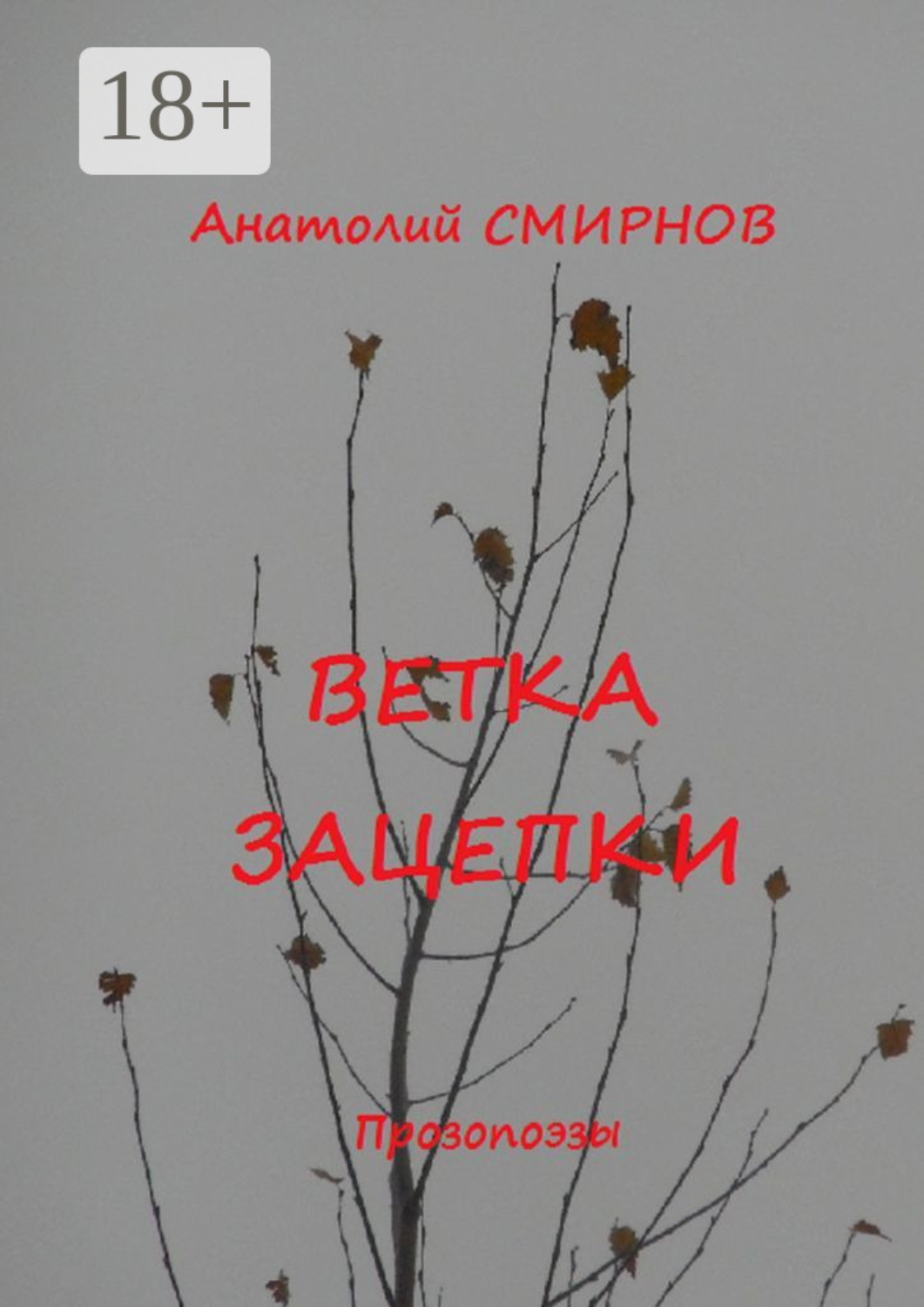 Обложка книги «Ветка зацепки. Прозопоэзы»