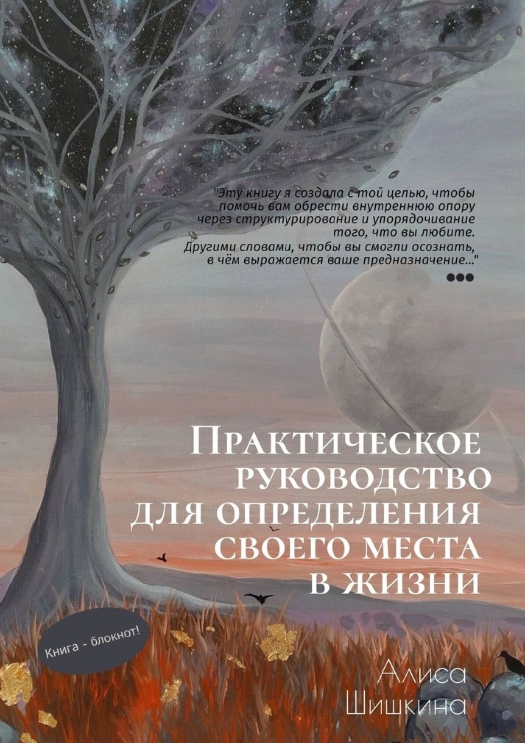 Обложка книги «Практическое руководство для определения своего места в жизни»