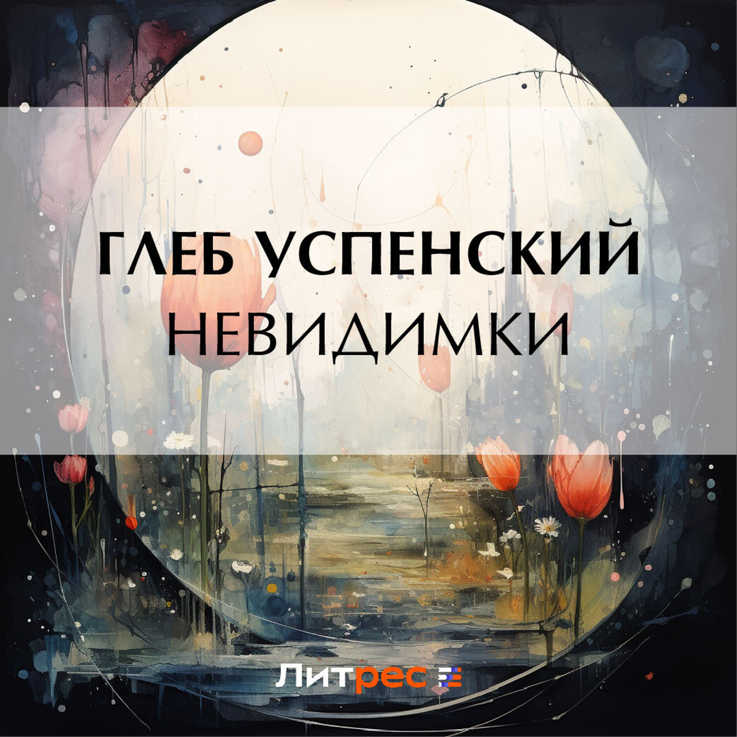 Обложка книги «Невидимки»