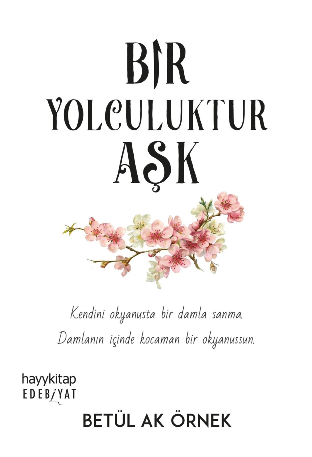 Обложка книги «Bir Yolculuktur Aşk»