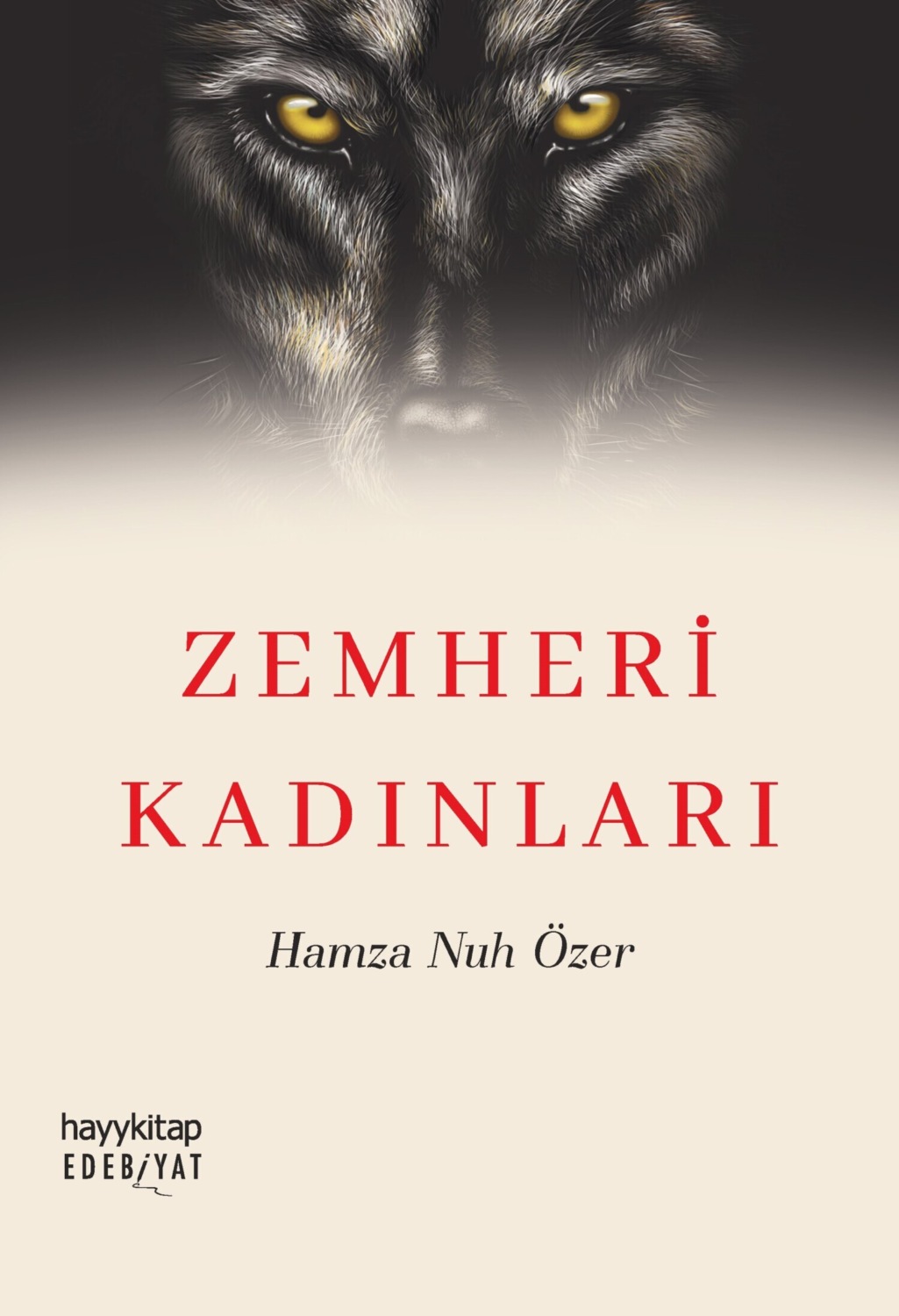 Обложка книги «Zemheri Kadinlari»