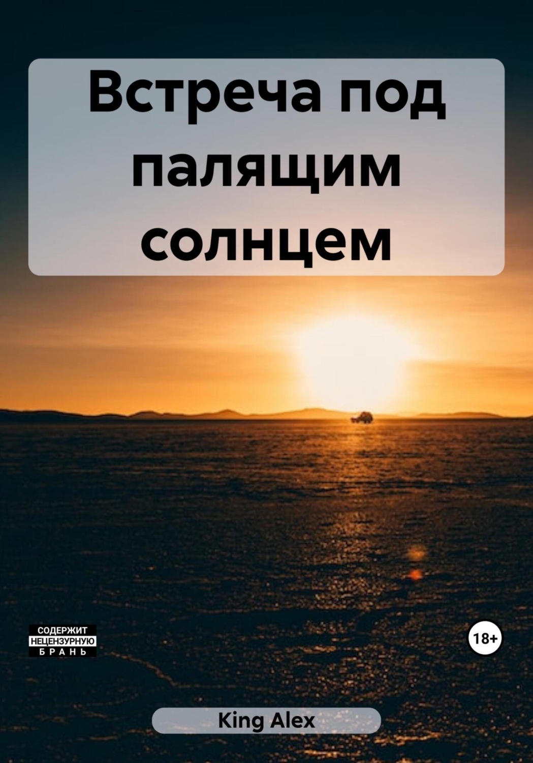 Обложка книги «Встреча под палящим солнцем»
