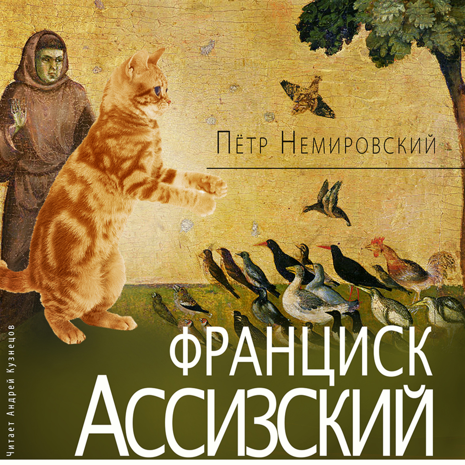 Обложка книги «Франциск Ассизский»