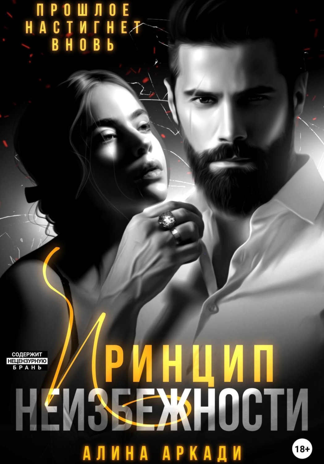 Обложка книги «Принцип неизбежности»