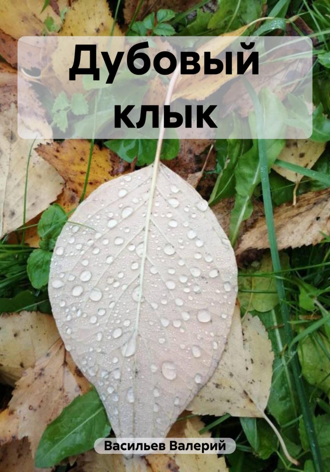 Обложка книги «Дубовый клык»