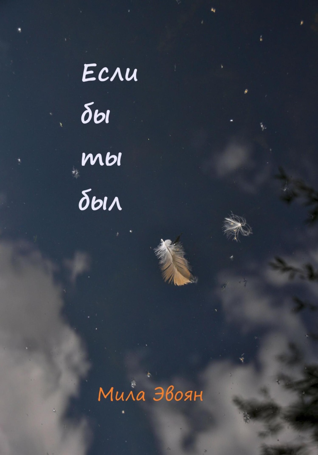 Обложка книги «Если бы ты был»