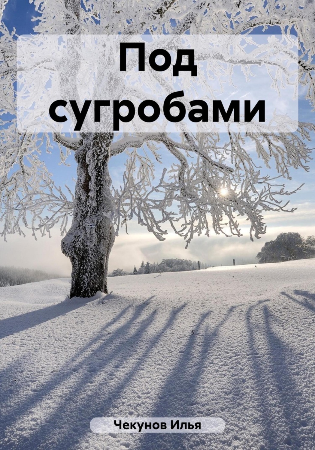 Обложка книги «Под сугробами»