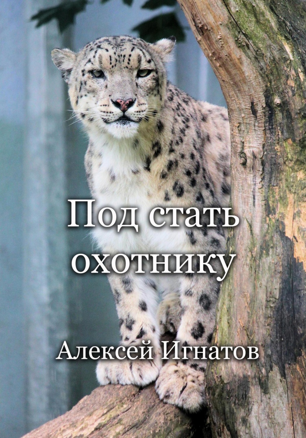 Обложка книги «Под стать охотнику»