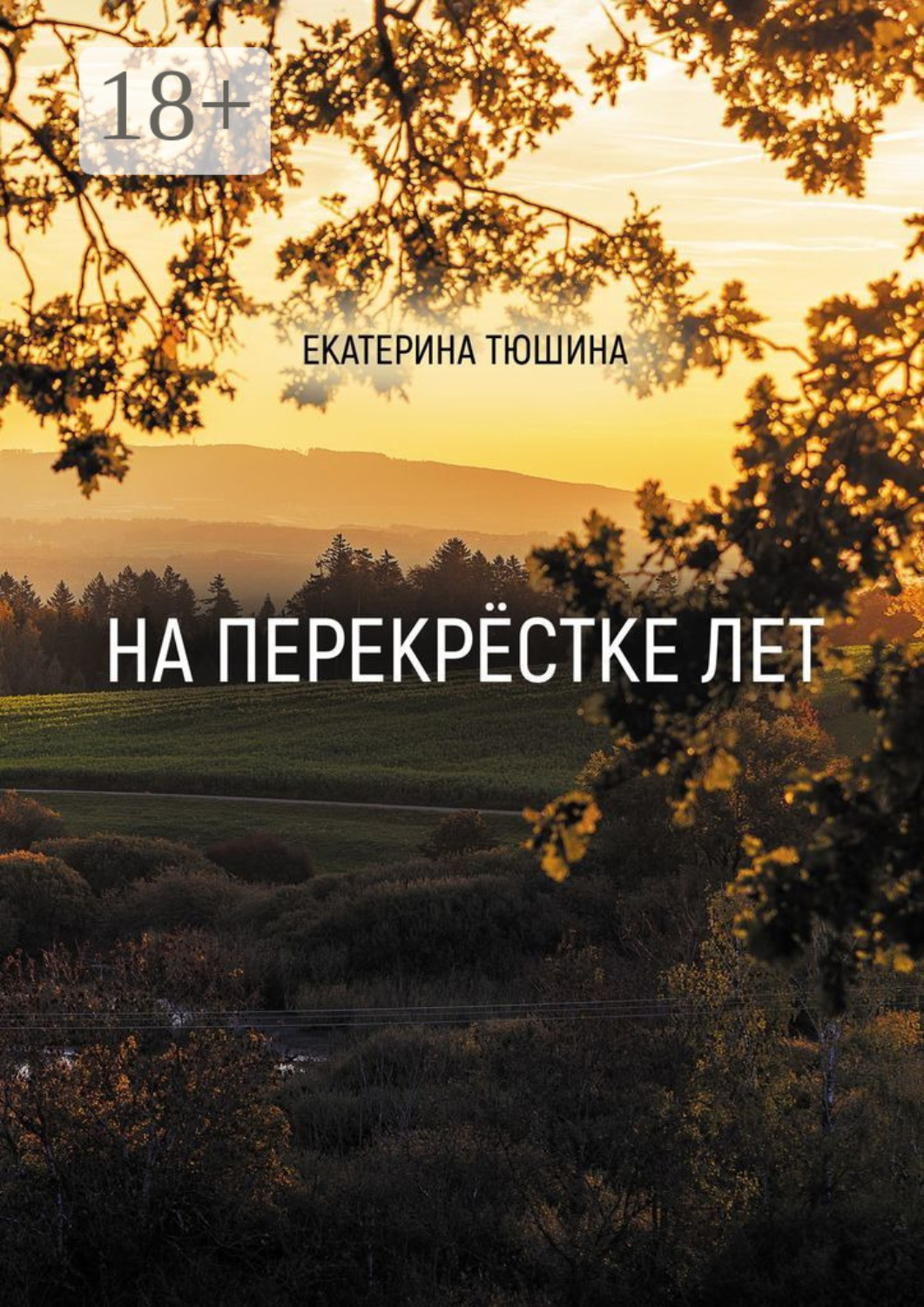 Обложка книги «На перекрёстке лет. Стихи»