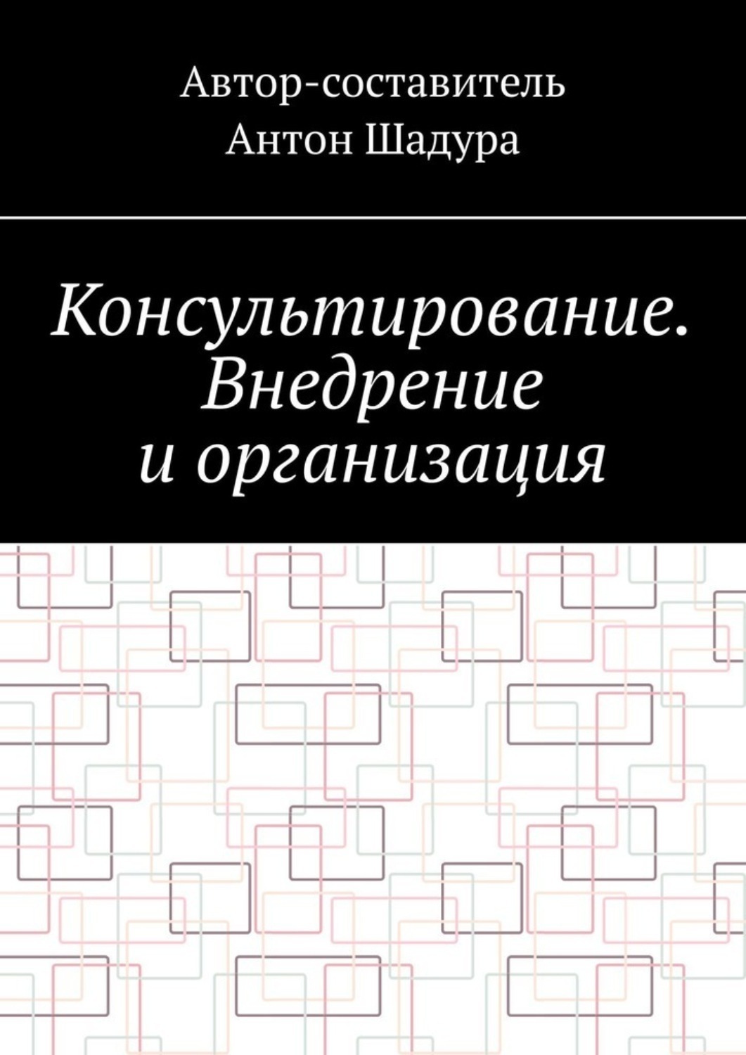 Обложка книги «Консультирование. Внедрение и организация»