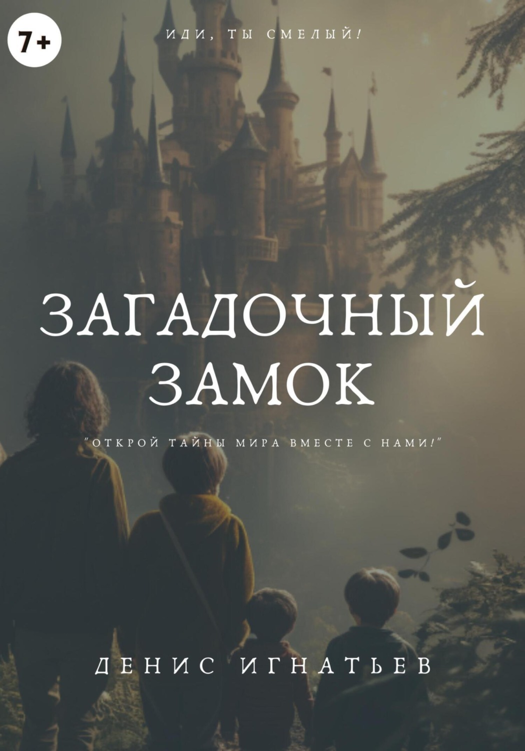 Обложка книги «Загадочный Замок»