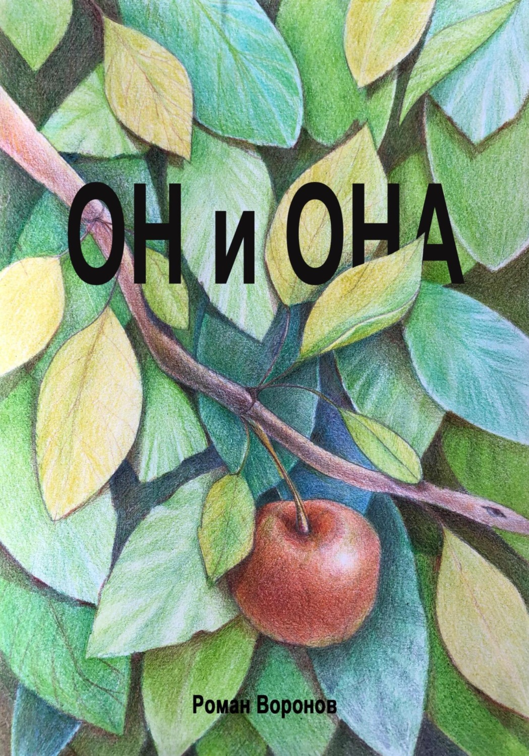 Обложка книги «Он и она»