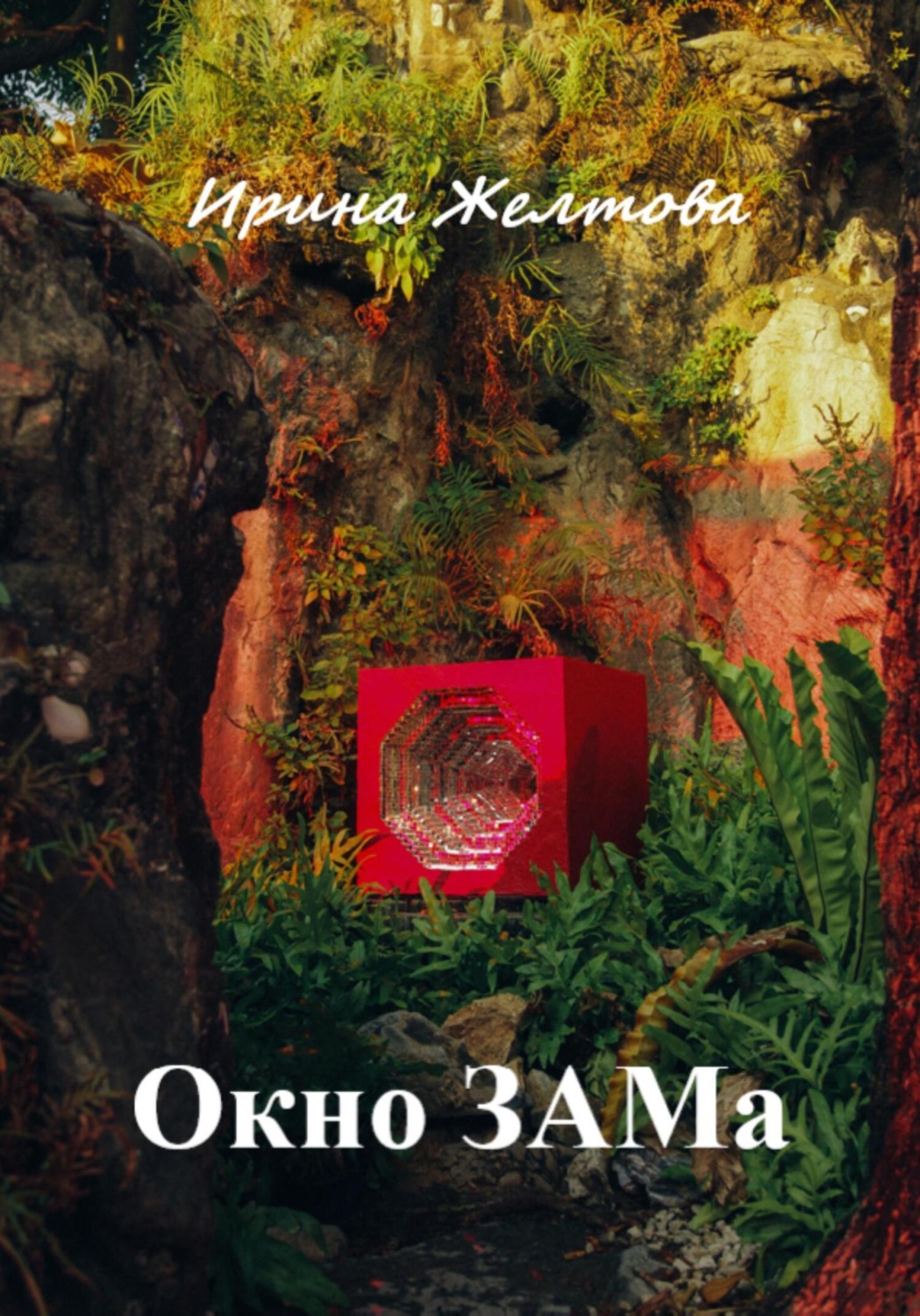 Обложка книги «Окно ЗАМа»