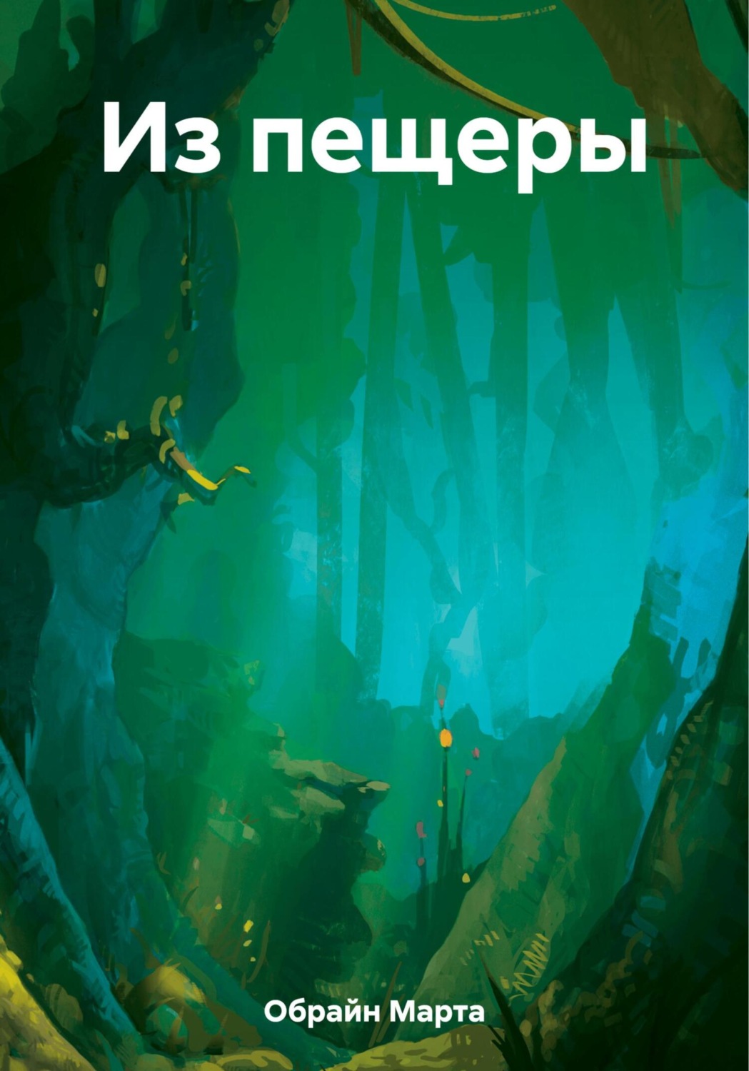Обложка книги «Из пещеры»