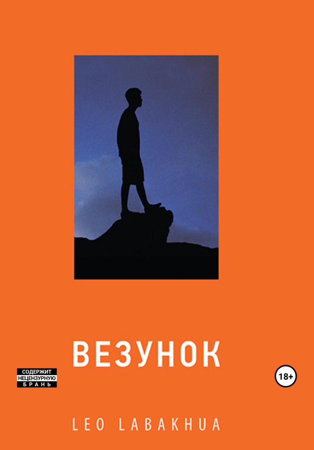 Обложка книги «Везунок»