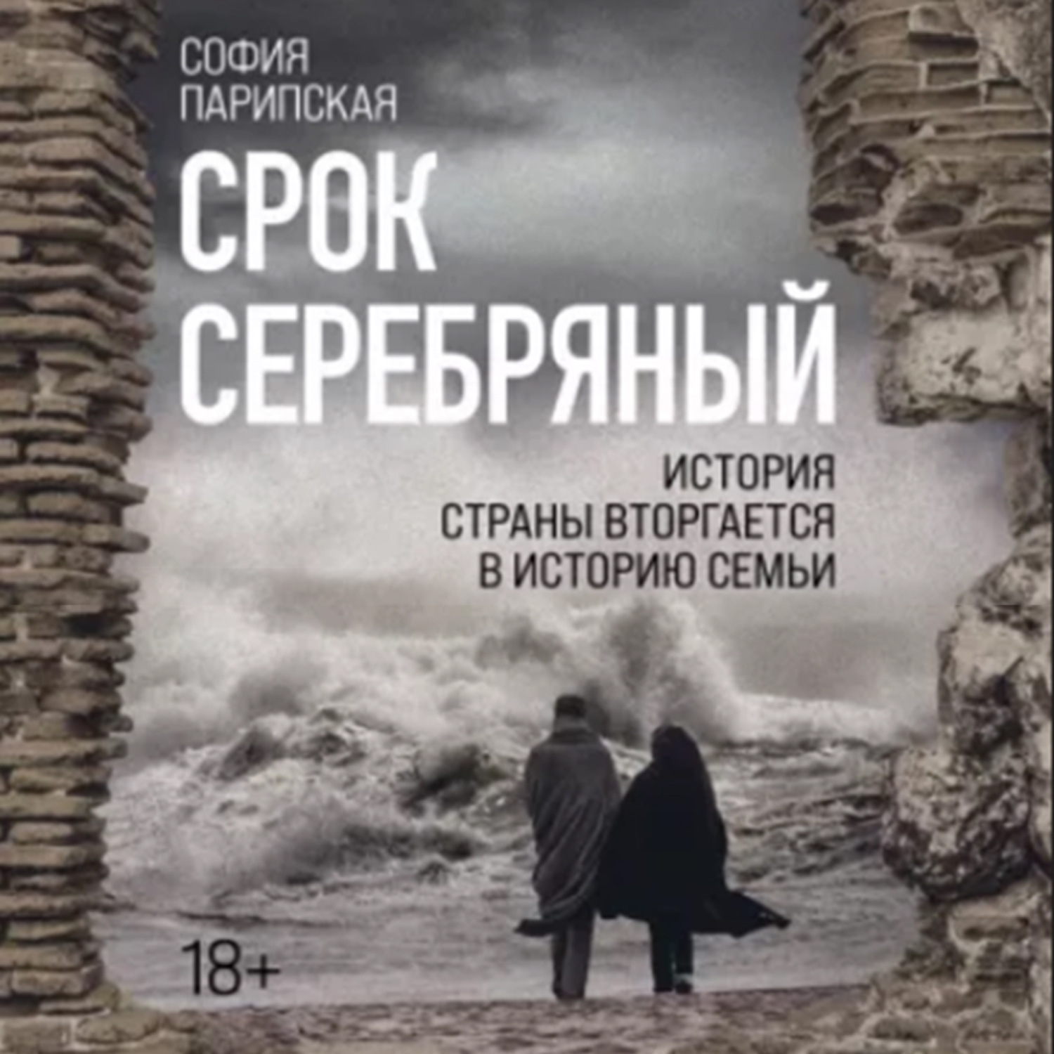 Обложка книги «Срок серебряный»