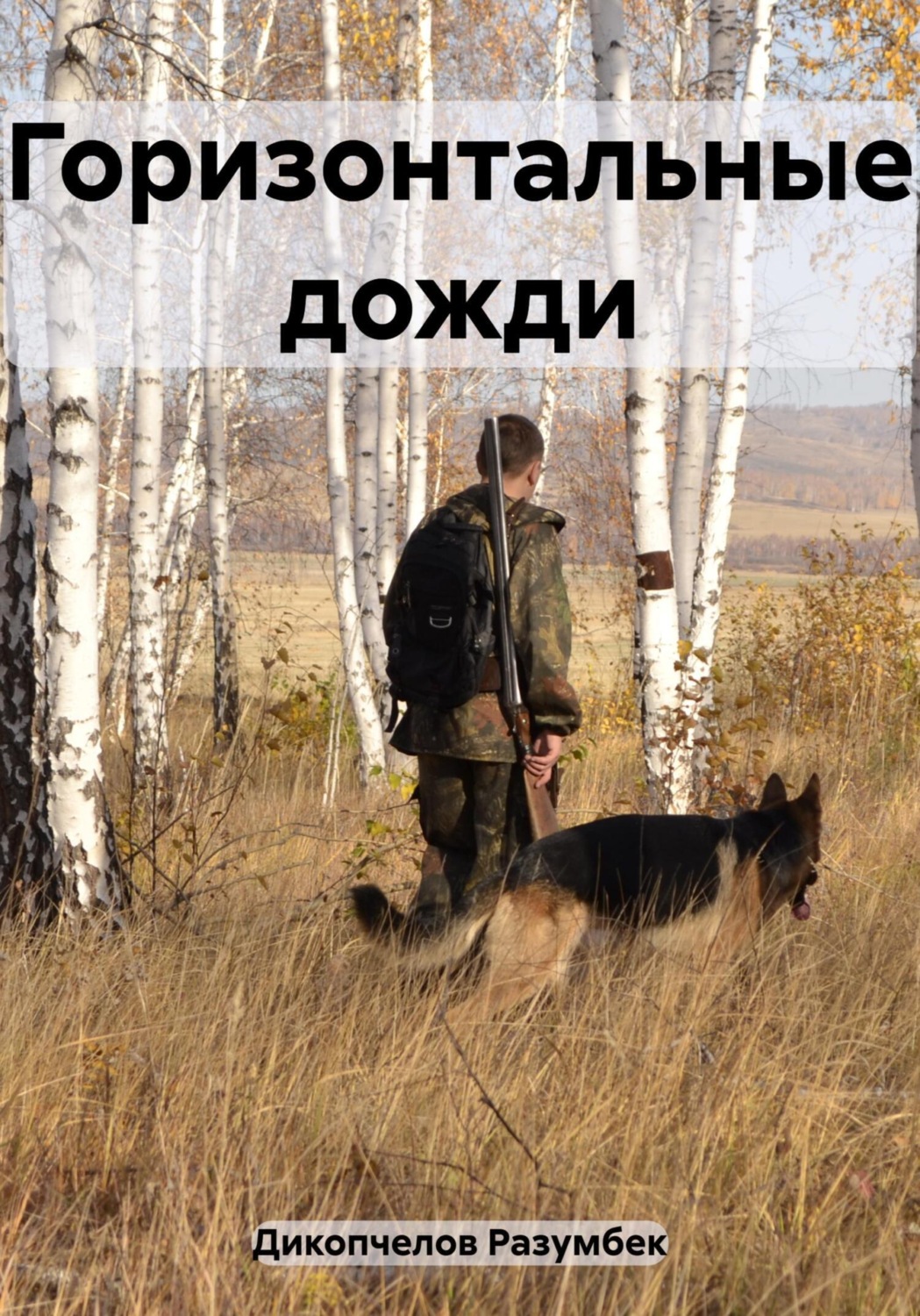 Обложка книги «Горизонтальные дожди»