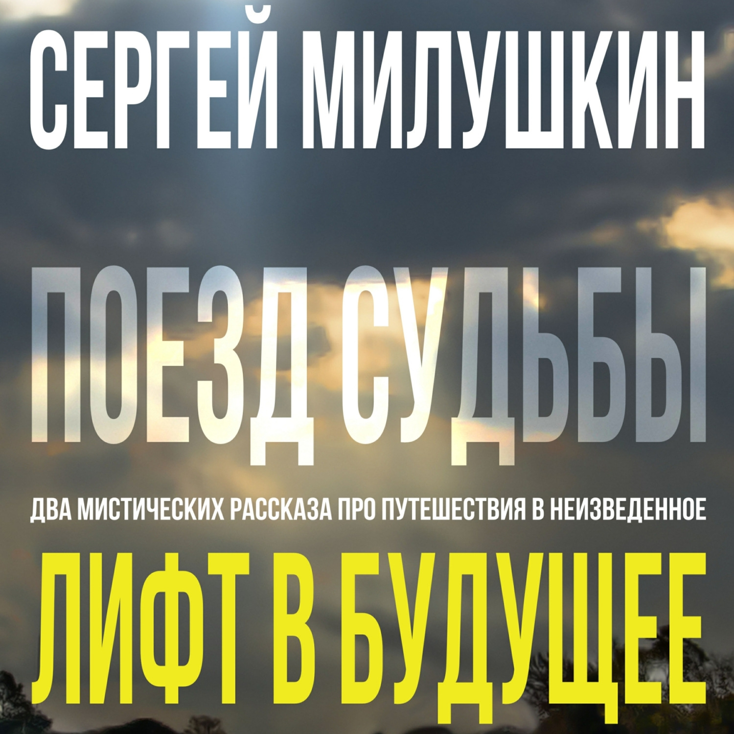 Обложка книги «Лифт в будущее. Поезд судьбы»