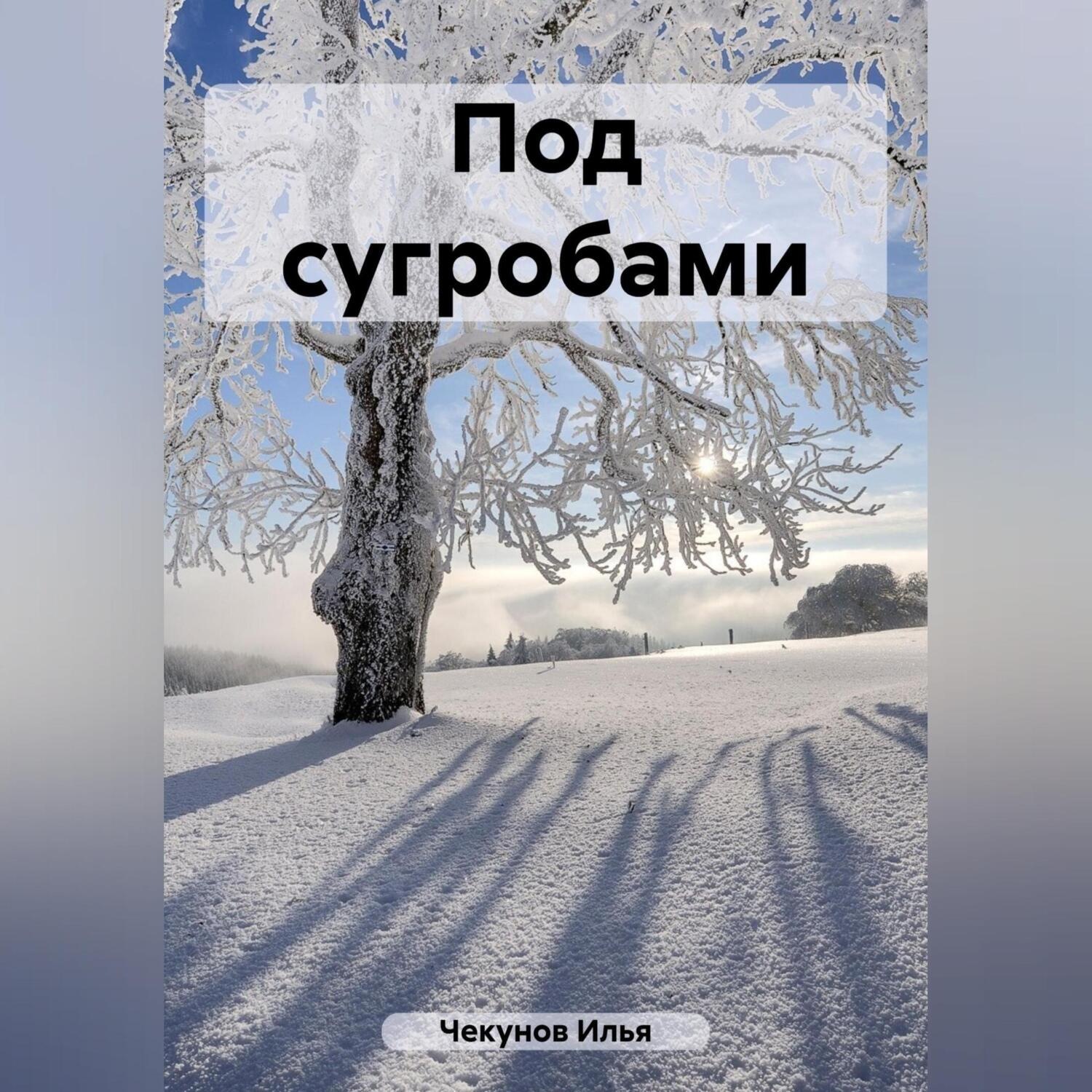 Обложка книги «Под сугробами»
