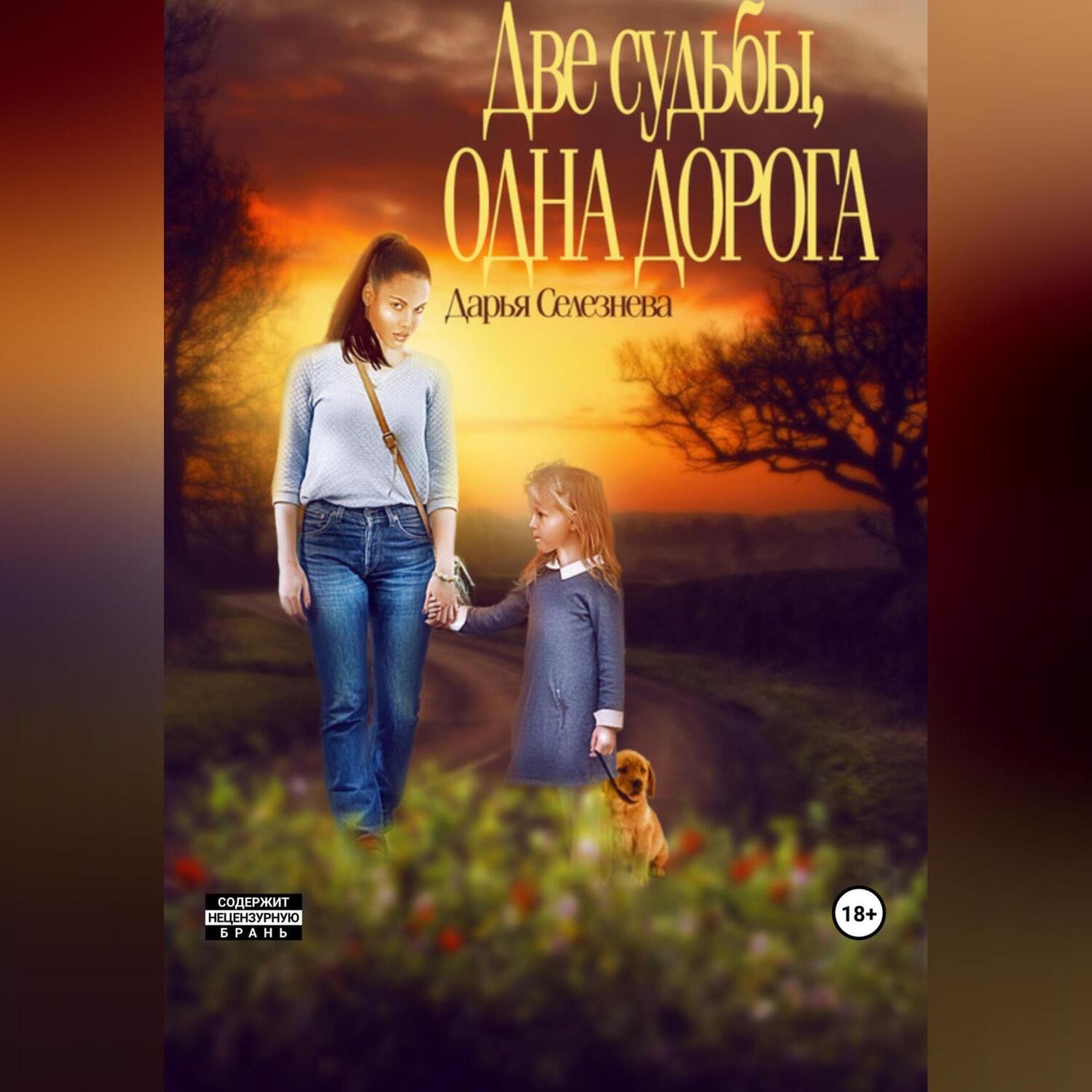 Обложка книги «Две судьбы, одна дорога»