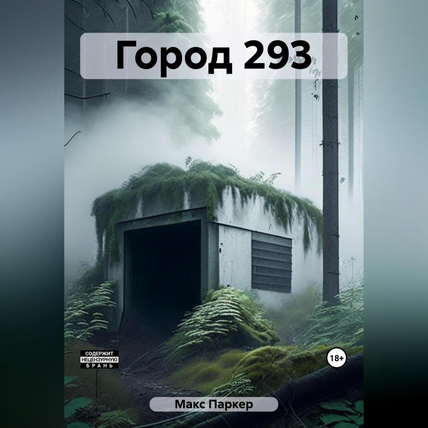 Обложка книги «Город 293»