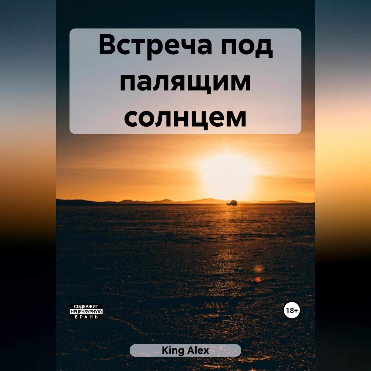 Обложка книги «Встреча под палящим солнцем»