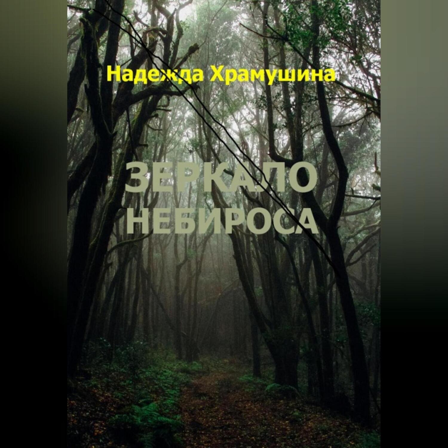 Обложка книги «Зеркало Небироса»
