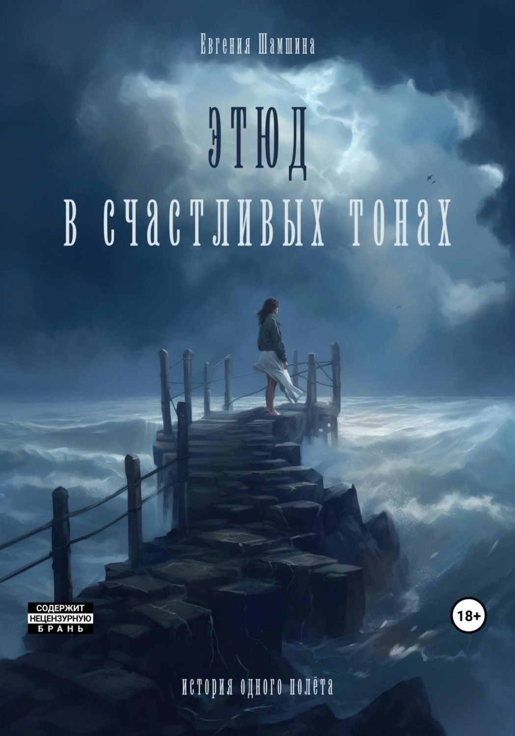 Обложка книги «Этюд в счастливых тонах. История одного полета»