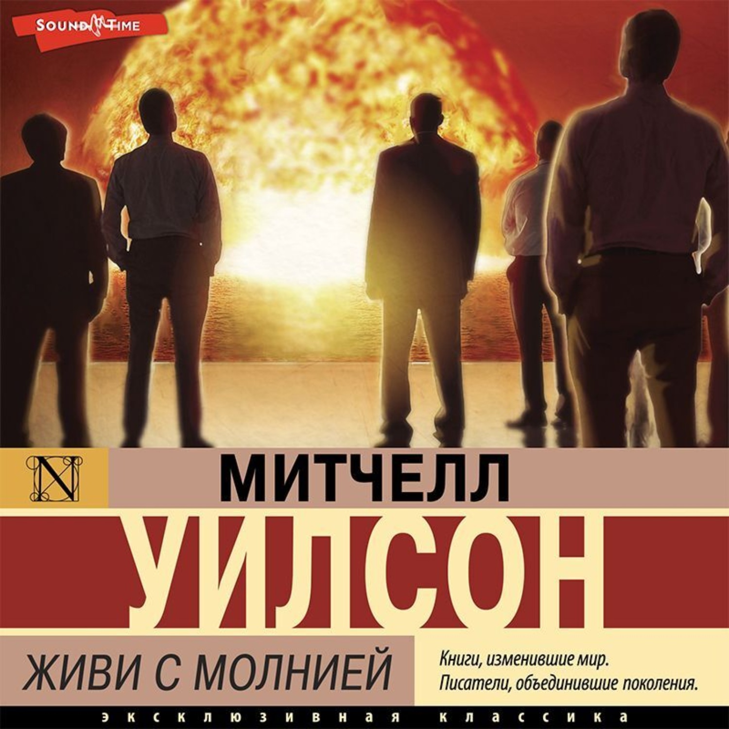 Обложка книги «Живи с молнией»