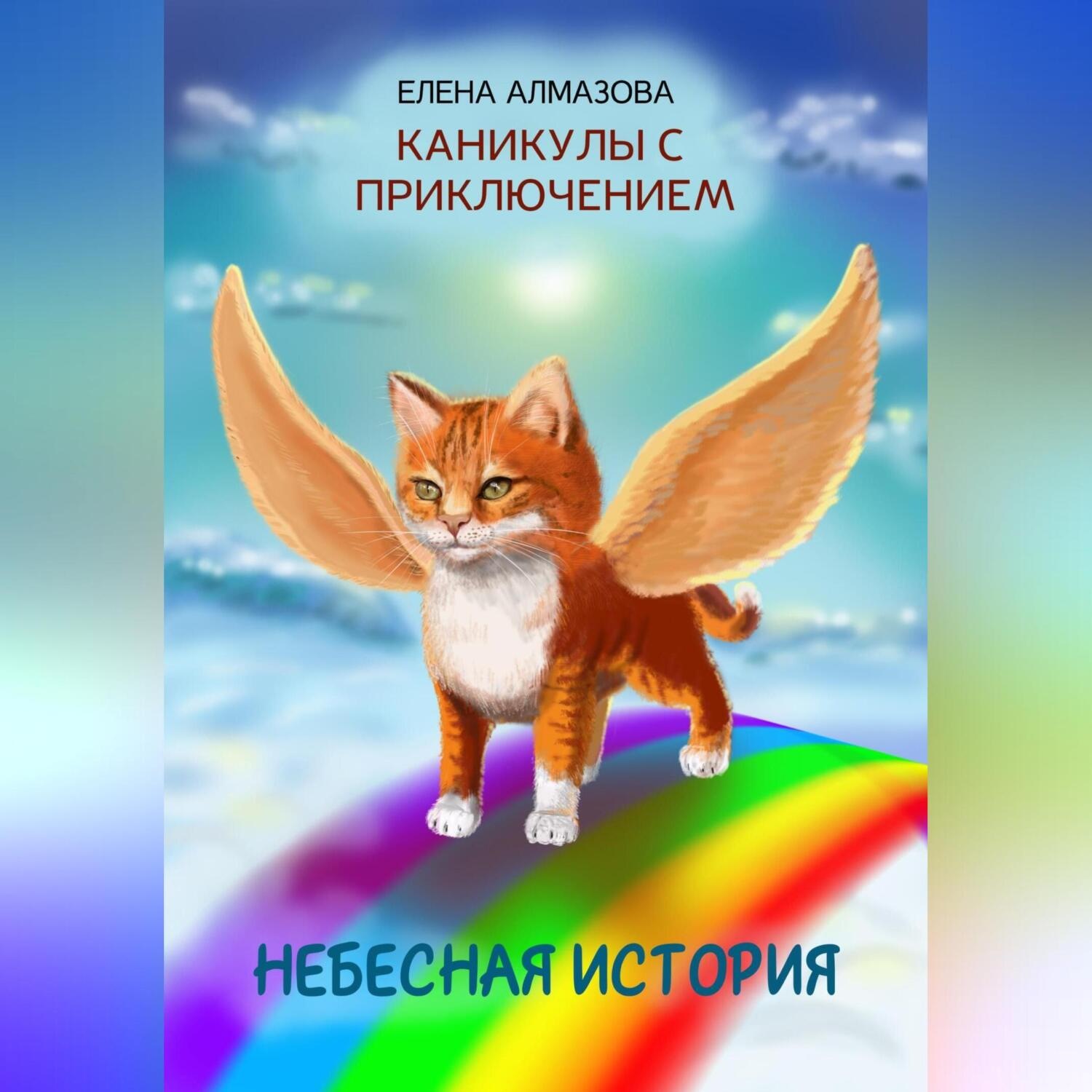 Обложка книги «Небесная история, или Каникулы с приключением»