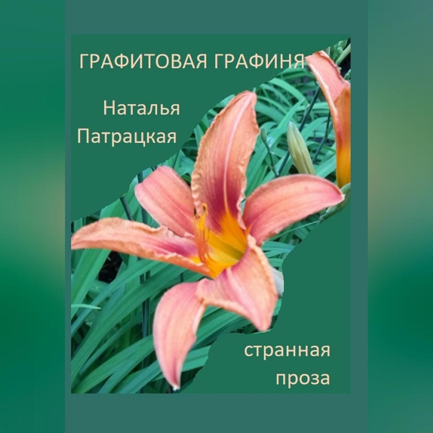 Обложка книги «Графитовая графиня»